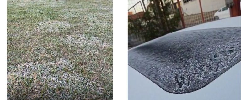 Frio do ano - 1
