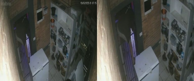 Garagem lanches  - 1