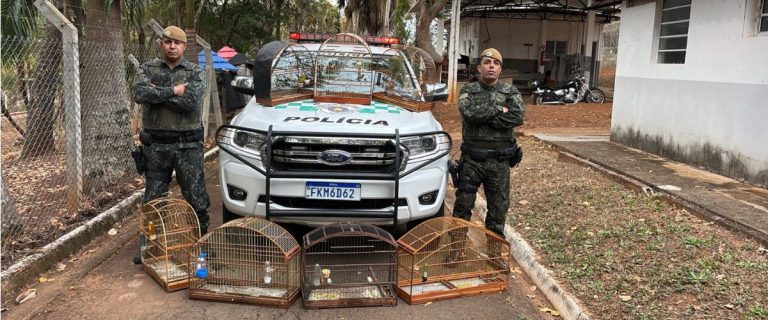 Polícia ambiental hortolandia  - 1