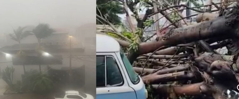 Chuva americana  - 1