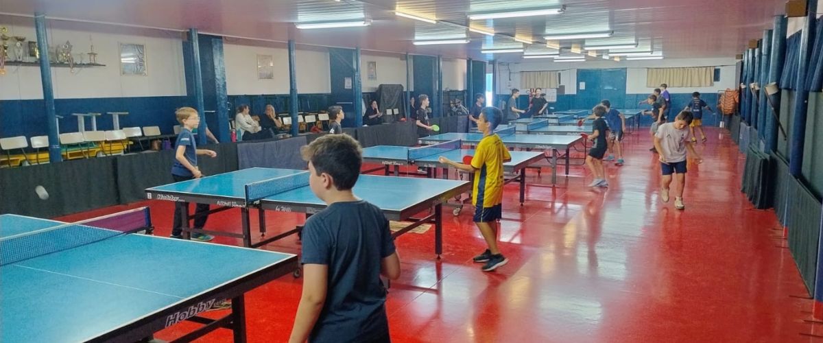 Tênis de mesa americana - 1