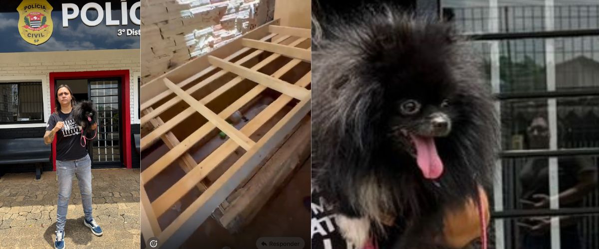 Causa animal        - 1