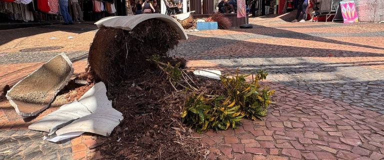 Vandalismo centro - 1