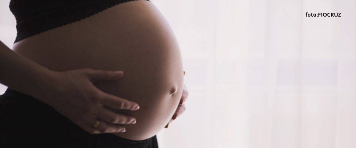 gravidez