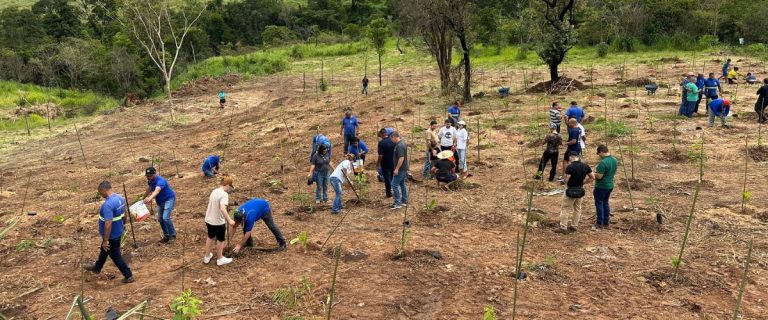 Reflorestando - 1