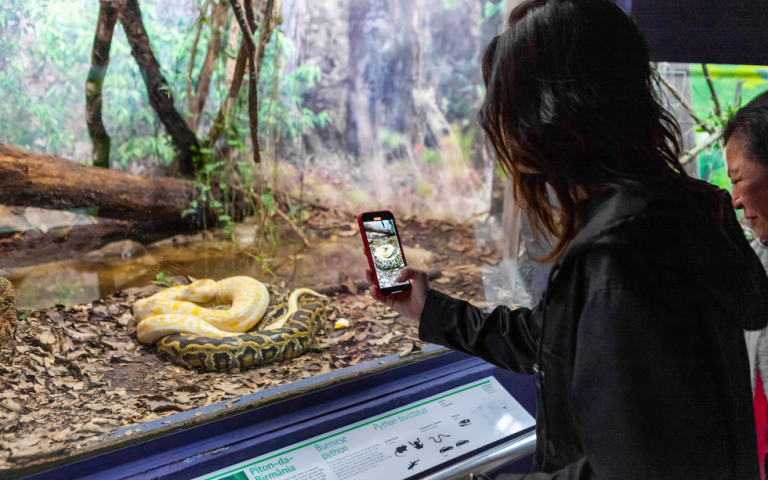 instituto-butantan-1