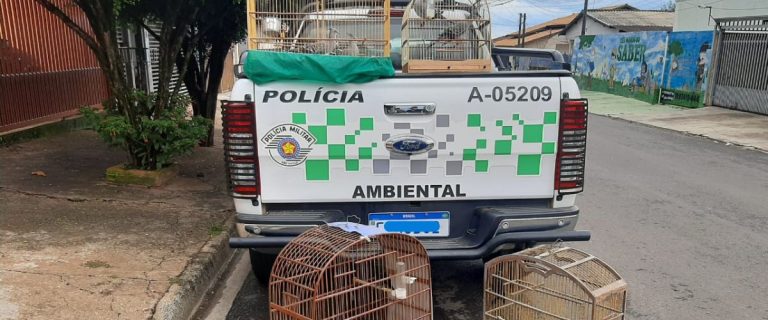 policia ambiental