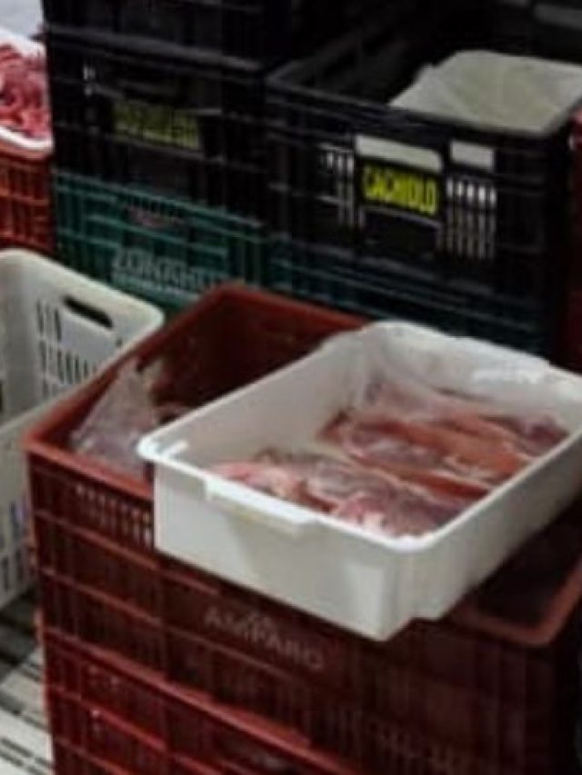 mais de 400kg de carnes são apreendidas no Zanaga