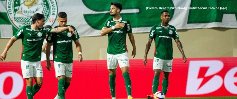 palmeiras (1)