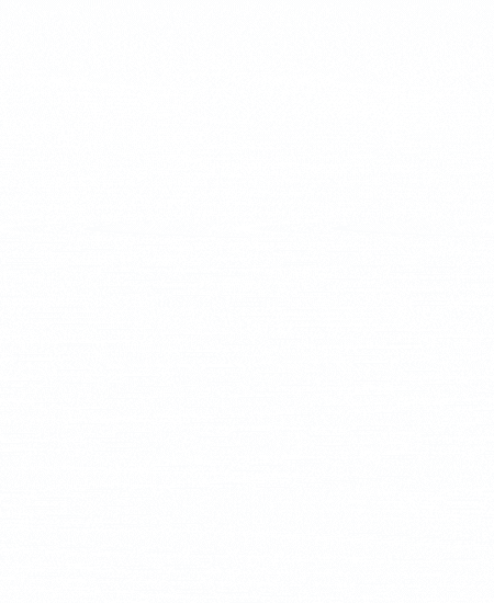 Americana Post_Banner Web (450 x 550 px)_Câmara de Americana (8)