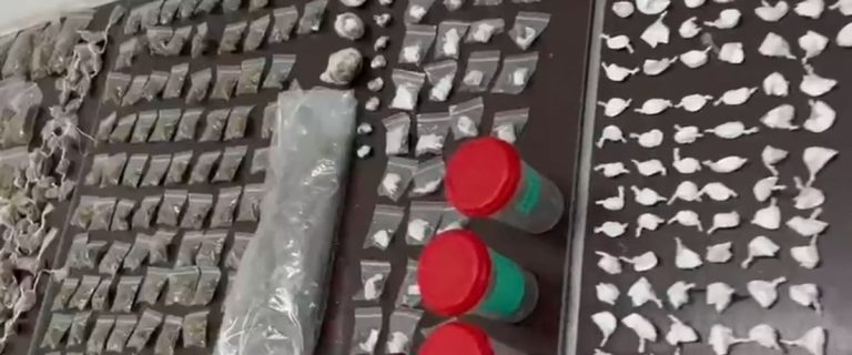 drogas gama