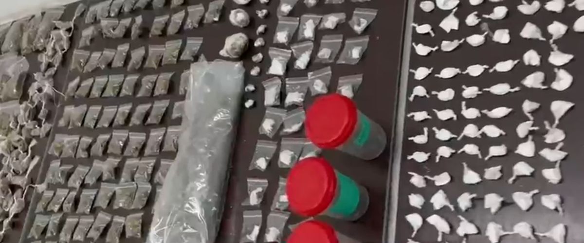 drogas gama