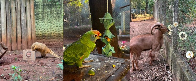 zoo (1)