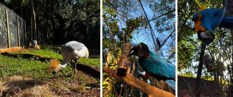 zoo (4)