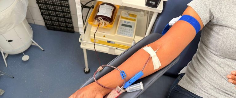 sangue