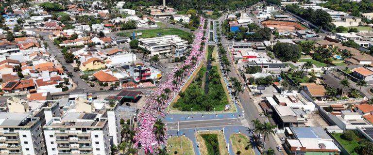 rosa do bem (1)